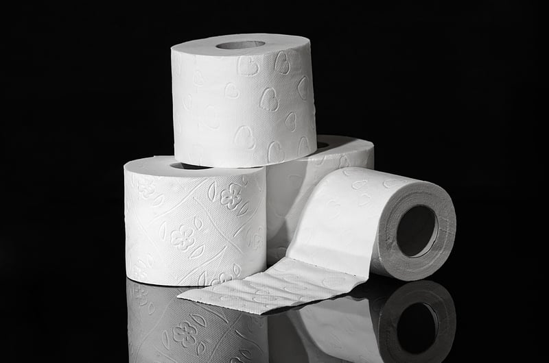 Toilet Paper Roll Animals